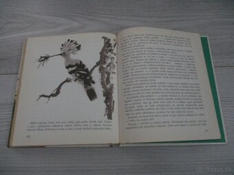 Z poľovníckej kapsy - 19