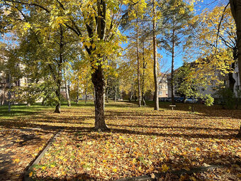 TOP: Tehlový 2 izbový byt s lodžiou 71 m2 Trenčín -Dlhé Hony - 19