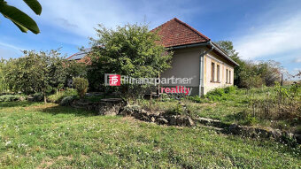 Usadlosť, pozemok 15000 m², Žemberovce, Levice - 19