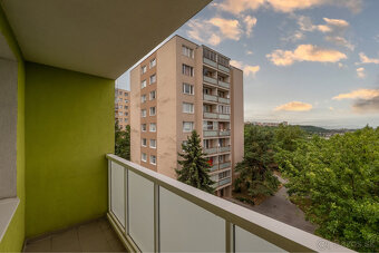 Priestranný 2-izbový byt na prenájom | Kurská - Furča - 19