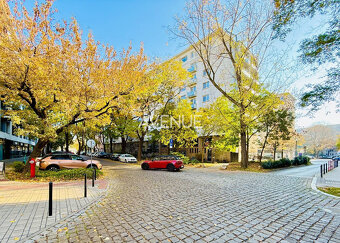 AVENUE I PRENÁJOM, slnečný a priestranný 2i byt v Starom Mes - 19