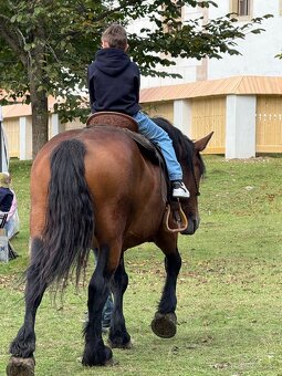 Darčekové poukážky - 19