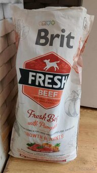 šteniatka labrador a IHNEĎ - 19