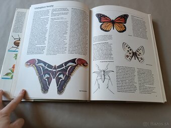 Pestrá priroda - 19