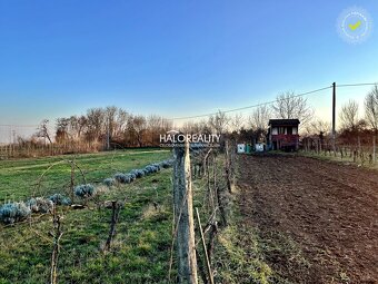 HALO reality - Predaj, chata Farná, s krásnym pozemkom, čias - 19