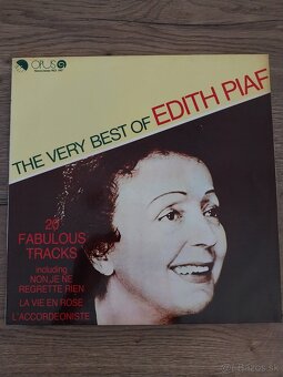 LP platne rôzne žánre-okres Levice - 19