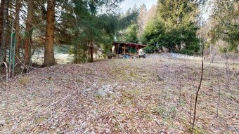 Pozemok v oblasti stavebnej uzávery pri Ružomberku - 19