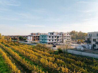 TOREA - ZELENÉ NIVY - 3i BYT S BALKÓNOM V BYT. DOME D - PEZI - 19