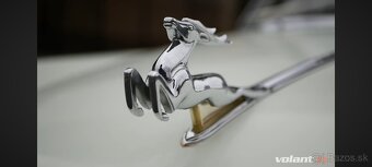 Emblem Volga Gaz 21 - 19