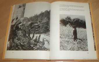 Povídání s liškou - 19