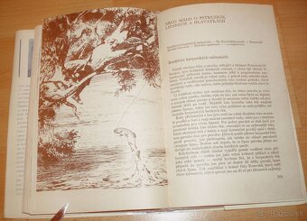 Lovy v Karpatech - 19