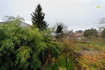 HALO reality - Predaj, rodinný dom Jelenec - ZNÍŽENÁ CENA -  - 19