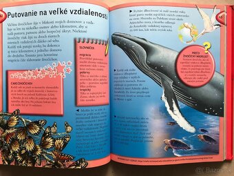 Obrázky povolaní, Telo človeka, Disney Záhada stonajúcej - 19