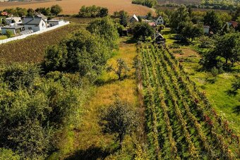 NOVÁ CENA - Viničný dom pri Leviciach -30 000€ - 19