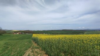 PREDAJ: Starší vidiecky dom s veľkým pozemkom a vínnou pivni - 19