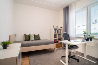 Na predaj 4-izbový rodinný dom v Galante - 19