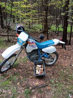 Suzuki DR 350 s TP+SPZ - 19