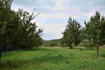 Predaj RD Černochov – romantická chalupa v srdci Tokaja - 19