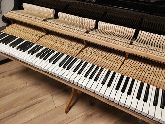 Bösendorfer najvyššia majstrovská kvalita - 19