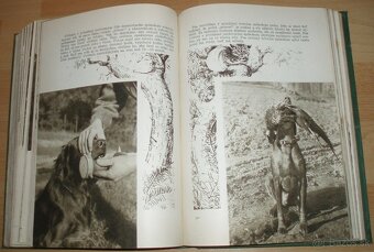 Poľovníctvo v obrazoch - 19