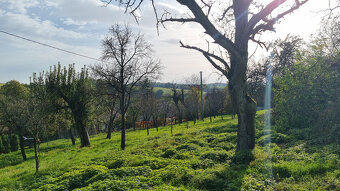 NA POLOSAMOTE RODINNÝ DOM, STODOLA a POZEMOK 4273 m2 PRIETRŽ - 19