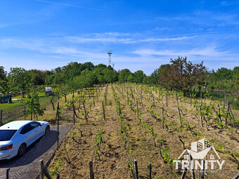 Znížená CENA Na predaj chata v obci Trávnica, 3D obhliadka - 19