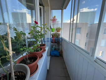 Predaj 3 izbový byt - Mestská panoráma každý deň-Novomeského - 19