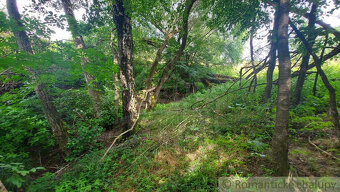 Malá chalúpka na polosamote, v blízkosti mesta Myjava, s v - 19