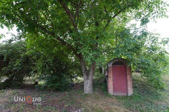 Na predaj: Vidiecka usadlosť pri Veľkom Mederi – 1ha, dom - 19