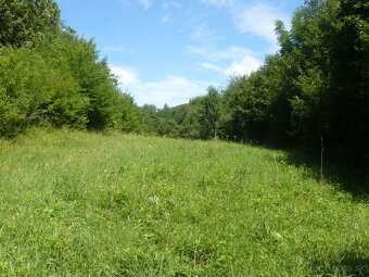 Predám pozemky v krásnom malebnom prostredí - cena 1,97€ - 19