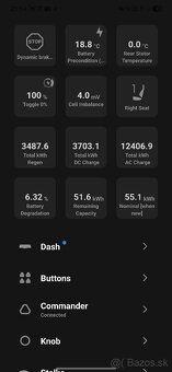 Tesla Model 3 Refresh SR+ 55kWh LFP RWD, 239kW, EAP - 19
