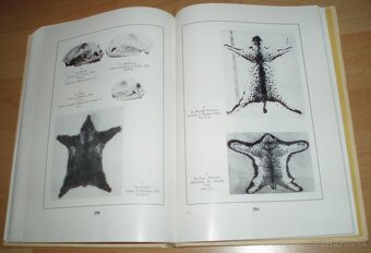 Zlaté trofeje ČSSR - 19