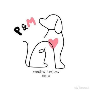 Stráženie psíkov P&M | Košice - 19