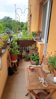 3 izbový byt Trenčín Juh na PRENÁJOM - 19