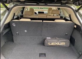 Lexus RX 450 HL - 19