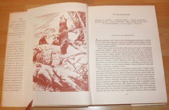 Lovy v Karpatech - 19