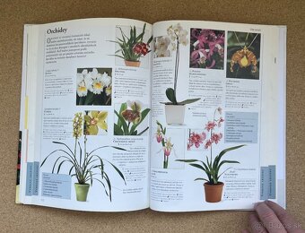 Knihy Príjemný Život s Kvetinami Obľúbené Izbové Kvety - 19