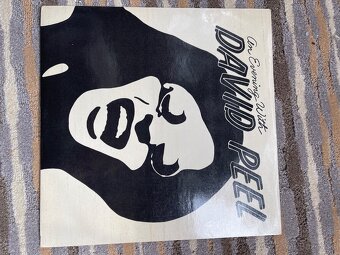 Predam LP - 19