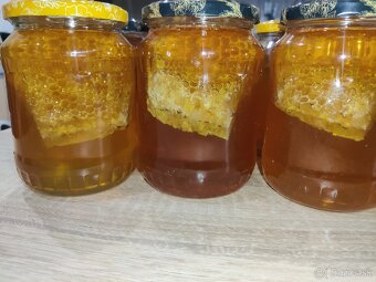 Domáci včelí med z Turčianskej záhradky - 19