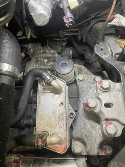 Volkswagen Golf Alltrack - 19