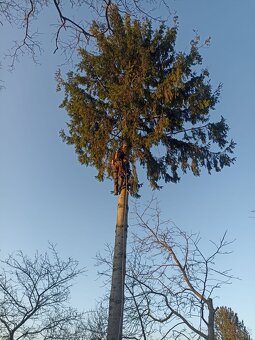 Záhradnícke služby - 19