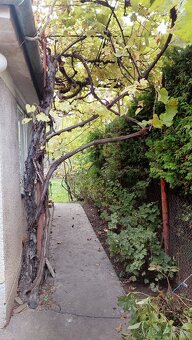 Na predaj rodinný dom v Dubnici n/V- realitky nevolať - 19