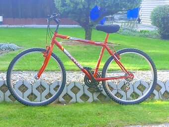 Horský bike Vector - 19