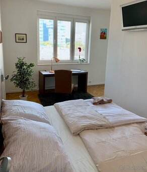 3. izb. byt s výťahom, Bratislava - Staré Mesto - 19