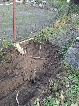 Celoročná údržba záhrad či pozemkov - 19