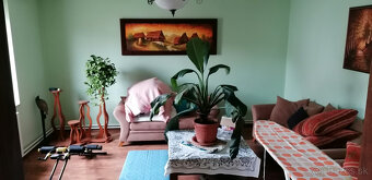 Investičná príležitosť - Nehnuteľnosť v tichej lokalite - 19