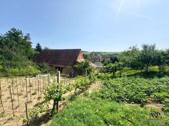 RODINNÝ DOM V HABÁNSKOM DVORE, POZEMOK 1910M2, SOBOTIŠTE, ok - 19