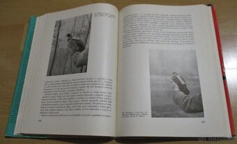 Chov drobné zvěře - 19
