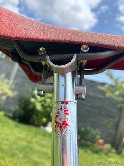 FRM   exclusive italiano mtb rare - 19
