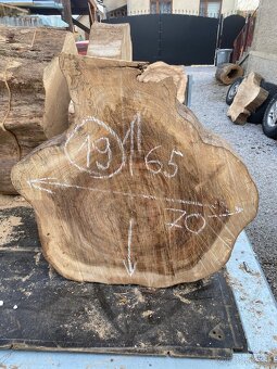 Brest priečny rez,kolač - 19